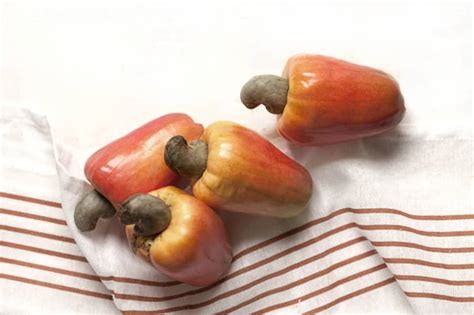 Demystifying the cashew apple juice and milk compatibility ...