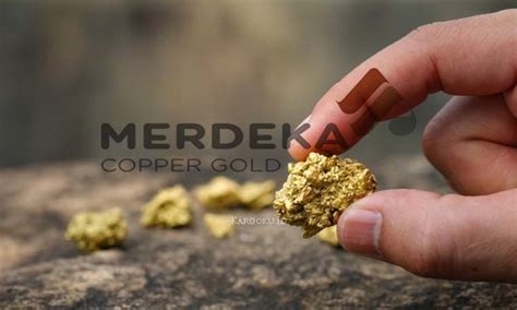 PT Merdeka Copper Gold Tbk - KARGOKU.ID