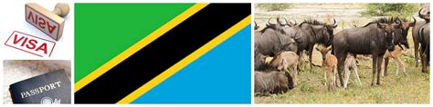 Tanzania Visa - Realm Africa Safaris™