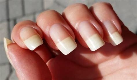 Tips to Strengthen Your Nail Growth - Blog Medicine