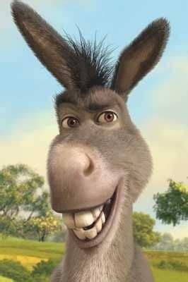 Donkey - Shrek | Shrek character, Shrek, Shrek donkey