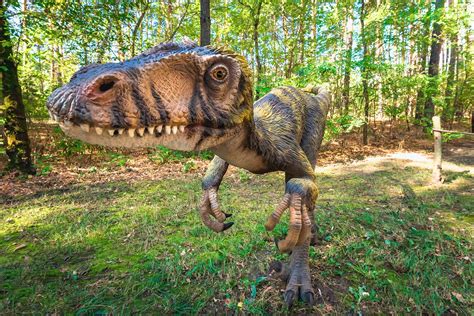 10 Busted-Looking Dinosaurs From Around The World