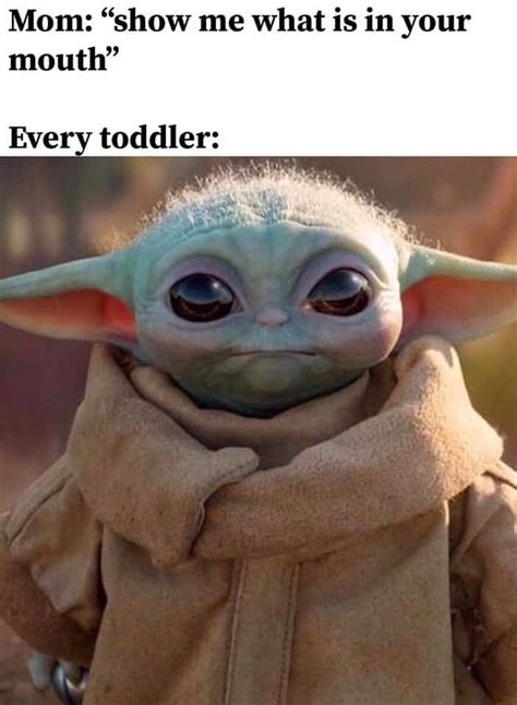 Baby Yoda - every toddler | Yoda meme, Yoda funny, Funny relatable memes