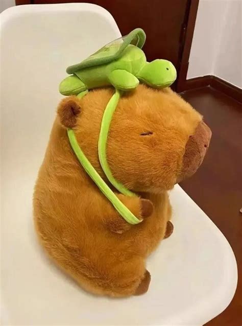 Soft Capybara Plush With Turtle Backpack - Etsy