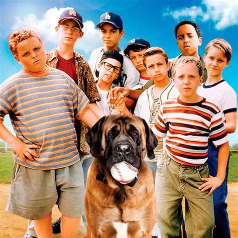 The Sandlot TV Show Set to Reunite Original Cast?!