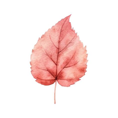 Premium Vector | Watercolor autumn leaf illustration
