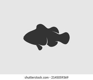 Clownfish Silhouette On White Background Isolated Stock Vector (Royalty Free) 2145059369 ...