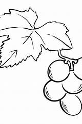 Winogrona Traube Trinken Weintrauben Kolorowanka Ausmalbild Quilling  sketch template
