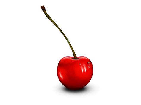 cherry realistic drawing png - Clip Art Library