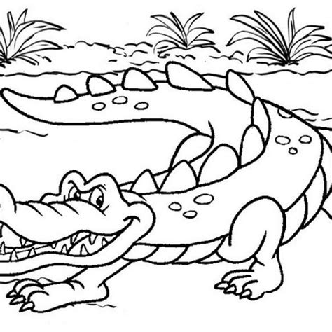 Nine Fun and Friendly Crocodile Coloring Pages - Mitraland