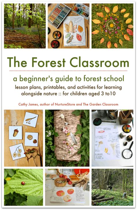 Forest school activities for outdoor classrooms - NurtureStore