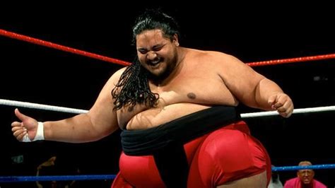 What Happened to Yokozuna - What's the Wrestler Doing Now in 2018? - Gazette Review