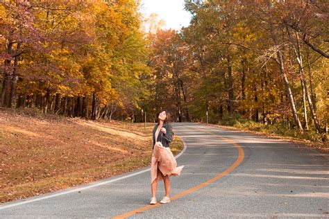 fall foliage maryland - Sea of Blush