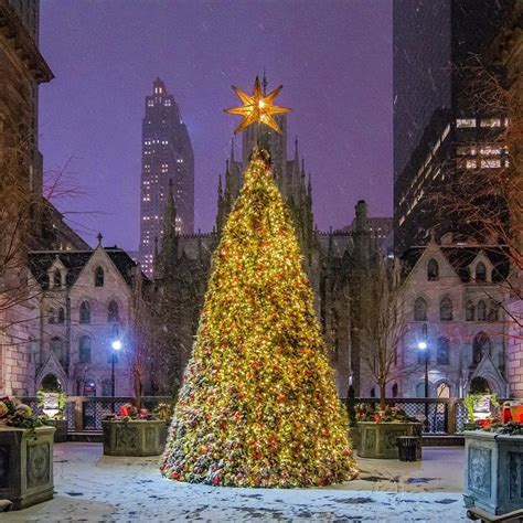 Christmas Tree at the New York Palace on a snowy morning in midtown Manhattan, New York City by ...