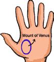 Palmistry - What Mounts of Jupiter,Saturn, Apollo, Mercury, Moon ...