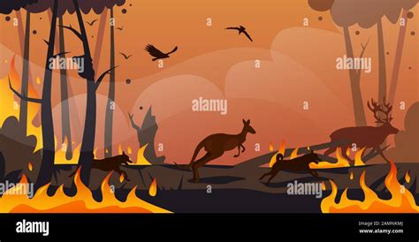 Forest Fire Animals