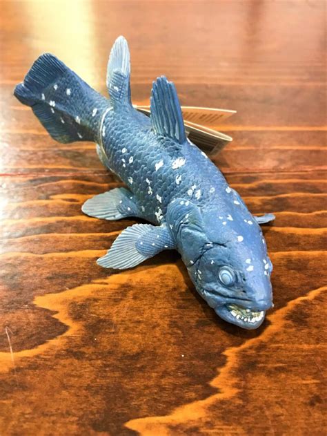 Coelacanth (9507) – Canadian Fossil Discovery Centre