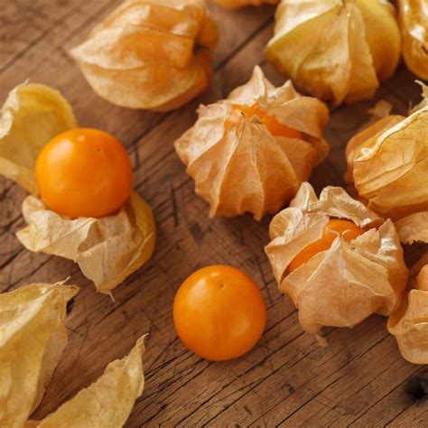 Benefits Of Cape Gooseberry / Cape Gooseberry Seeds - Physalis ...