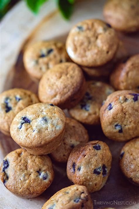 Easy Blueberry Muffins | Baby 6 months+ (Dairy Free GF Option) - ThrivingNest