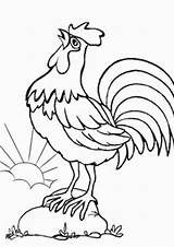 Free & Easy To Print Chicken Coloring Pages  Tulamama sketch template