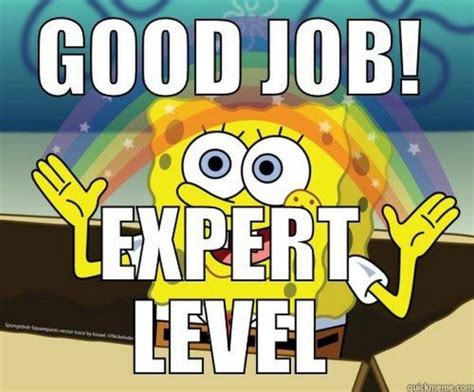 23 Great Job Memes - Good job! Expert level.