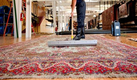 Why Important Steam Rug Cleaning | Rugs, Rug cleaning, Carpet stains