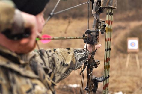 Best Compound Bows of 2016 - Selection Guide and Reviews