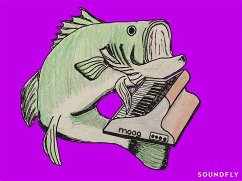 Synth Bass Fishing GIF by Soundfly - Find & Share on GIPHY