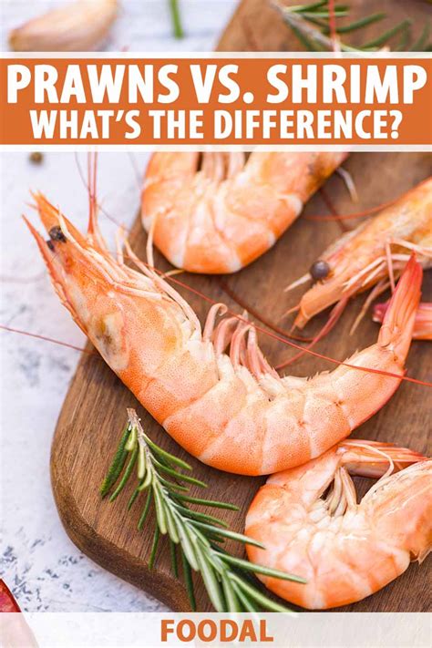 What’s the Difference Between Prawns and Shrimp? | Foodal