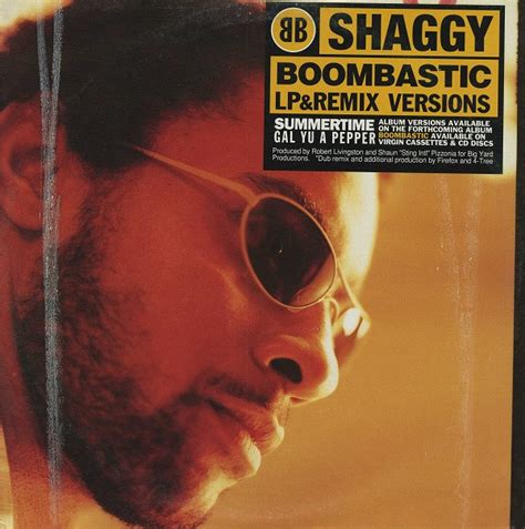 Shaggy Boombastic (Vinyl Records, LP, CD) on CDandLP