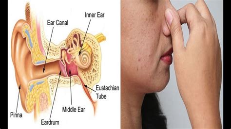 How to Pop Your Ears | How to Pop Your Ears Fast - YouTube