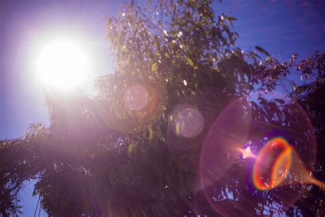 4 Lenses for Amazing Camera Lens Flares | VashiVisuals Blog