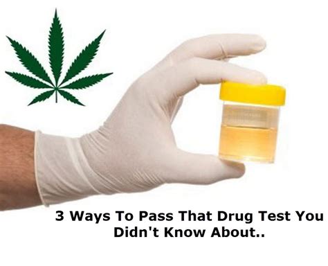 2 Hours to Pass a Drug Test, What Should I Do First?