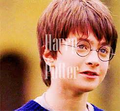 Harry Potter - Harry Potter Photo (31278841) - Fanpop
