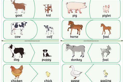 Farm animals activities, Farm animals preschool, Farm animals games