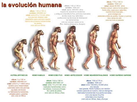 Pin by Lourdes Roldán on El origen del ser humano | Atheist symbol, Free infographic