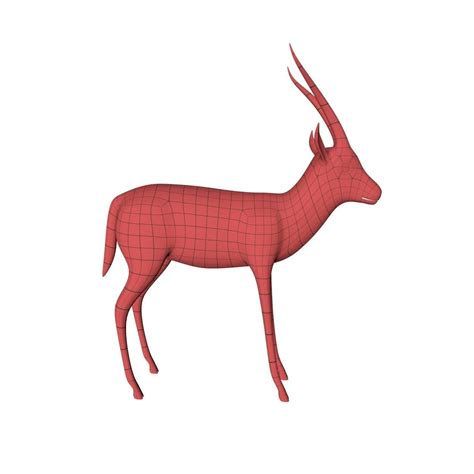 Gazelle base mesh 3D Model #AD ,#base#Gazelle#Model#mesh Modern Resume Template, Brochure ...