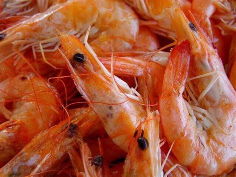 10 Shrimp Allergy Symptoms And Causes » 2023