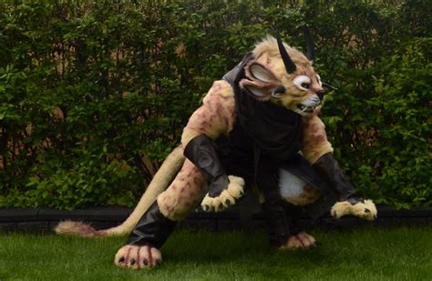 Guild Wars 2 - Charr by temperance on DeviantArt