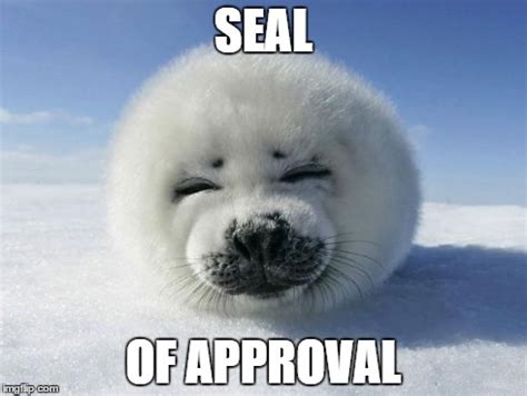 Seal Of Approval - Imgflip