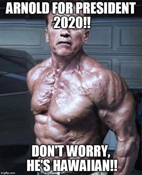 arnold for president - Imgflip