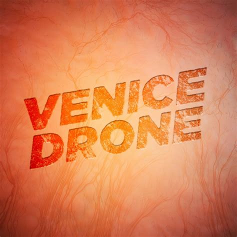 Venice Drone