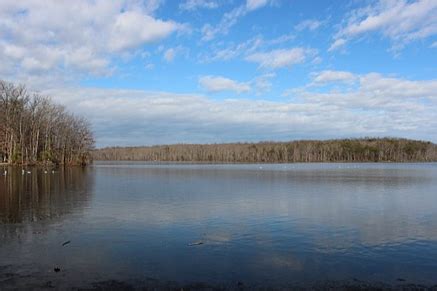 Experience Fairfax County Parks in February