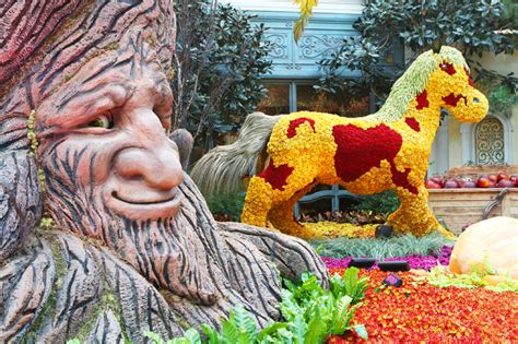 Bellagio Conservatory Fall Display is Reliably Taken for Granted