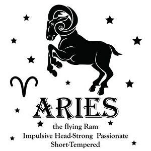 Aries - Astrological Sign Wall Decal | Vinyl Adhesive Home Bedroom Decor Design | eBay