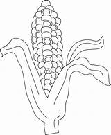 Indian Corn Coloring Page At GetColoringscom  Free Printable sketch template