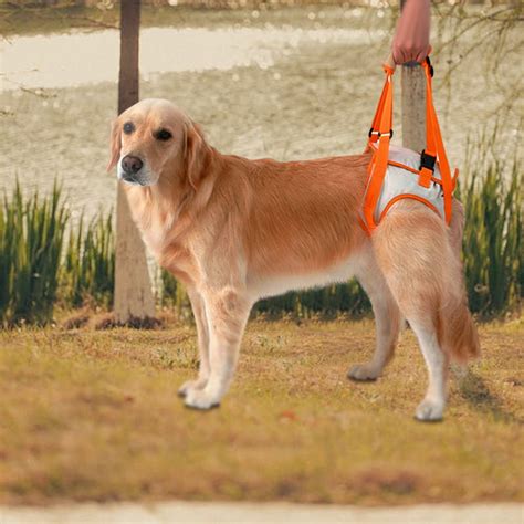 Best Back Leg Dog Harness For Sale | LOVEPLUSPET