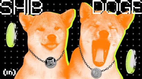 เหรียญ Dogecoin (DOGE) กับ Shiba Inu (SHIB) ต่างกันอย่างไร