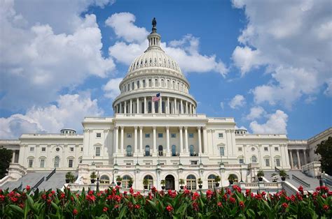 US Congress set to welcome eight new members with scientific credentials – Physics World