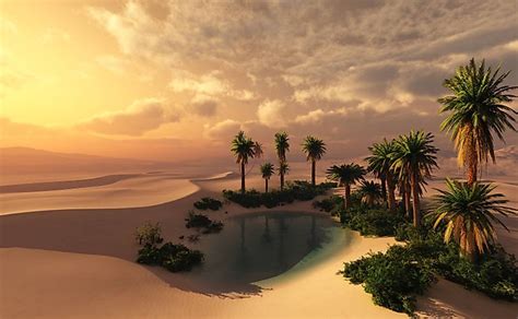 What Is The Importance Of Oasis In A Desert? - WorldAtlas